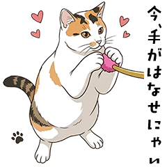 Daily Meow Talk Stickers