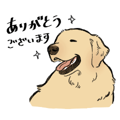A polite Golden Retriever