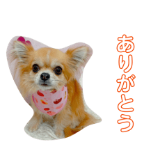 Asaki_20260330124619