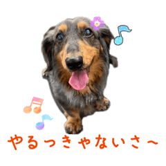 yuuki_20260330151953