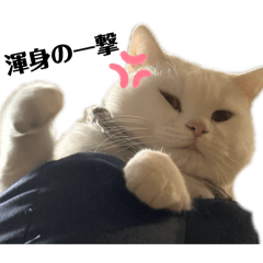 RAMUNE_20260330152951