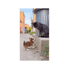 Happy_20260330192829