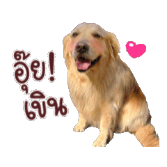 Chico1609