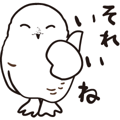 Everyday conversations of various owls