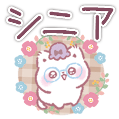 [Senior] Everyday use Cat