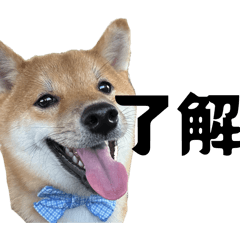 ichichi_20260330154820