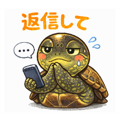 michiomi_20260330155658