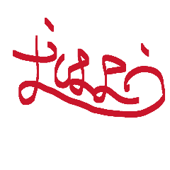 matsutake_20260330160817