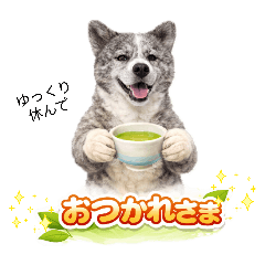 Reibee_20260330173349