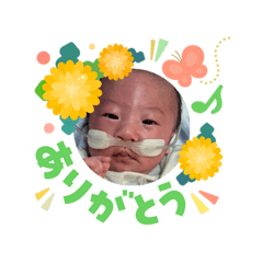 toikun3