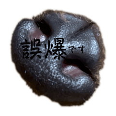 Lulu Petal_20260330192250