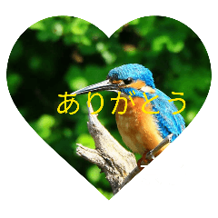 kyouko_20260330193651