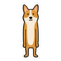 我有大長腿系列-柯基犬