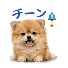 Moko Pomeranian Stickers3