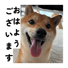 ichichi_20260330161412