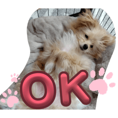 Haruka_20260330162404