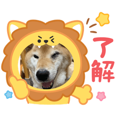 Momo_20260330201944