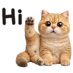 ส้ม แสบ2