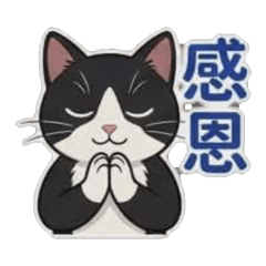 可愛療癒系小貓2