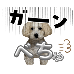 wata_20260330214539