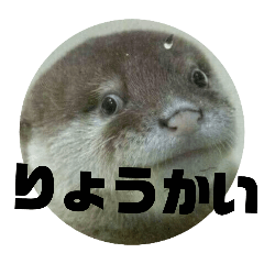 kerorintyo_20260330214936