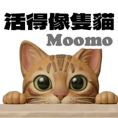 小豹貓moomo的生活日常 : 活得像一隻貓