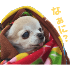 Monica_20260330161440