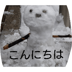 catfish_20260330162217