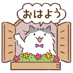 Every day a good morning cat 4