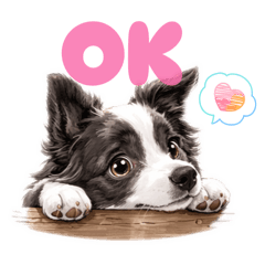 sypiii_20260330162028