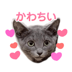 kotori85_20260330181416