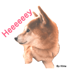 Coeri_20260330191345