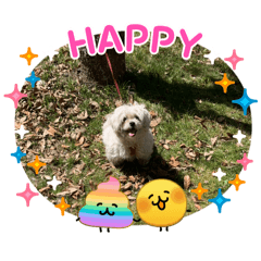 yui.f_20260330182227