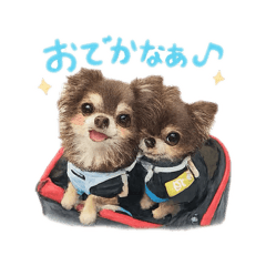 Kim.paku.13_20260330182115