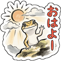 Friends with a Wafu Leopard gecko