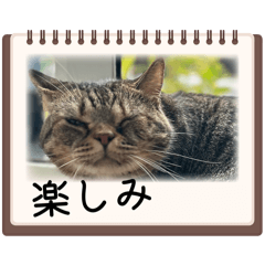 latte_20260330181523