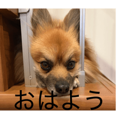 KOTAROU20260330205224