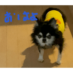 emapen_20260330205402