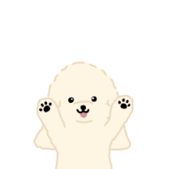 Motion-Cockapoo*white