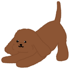 Motion-Cockapoo*red2