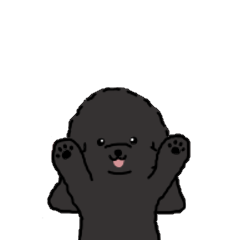 Motion-Cockapoo*black