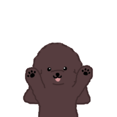 Motion-Cockapoo*chocolate