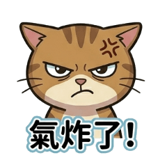 不高興的大臉貓
