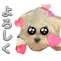 Makokenn9_20260330161854