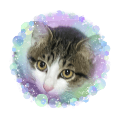 Thank you as always for sharing