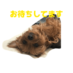 junichi_20260330211103