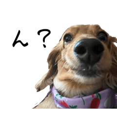 mochi_20260330204443