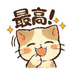 Munchkin Cat Collection002