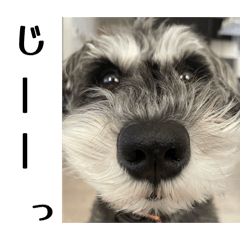 Bunchaaaan_20260330223120