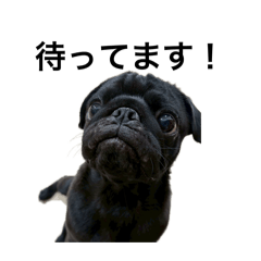 KAITO_20260330223503